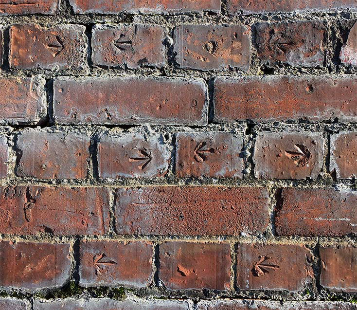 Arrows in the Bricks, Tasman Street, 2015.