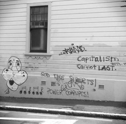 Capitalism cannot last &mdash; Basin Reserve graffiti, 2011.