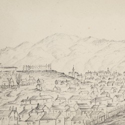 A view from the lower slopes of Brooklyn, of the Mount Cook/Te Aro area, 1888