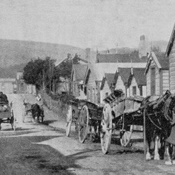 Haining Street, Wellington reproduced from the New Zealand Mail, 1904.