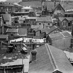 Te Aro, Wellington, looking towards Mount Cook, 1924.