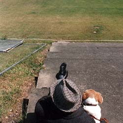 Cricket at the basin, 1991