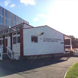 Te Kuratini Marae, Massey Campus, Wellington, 2015
